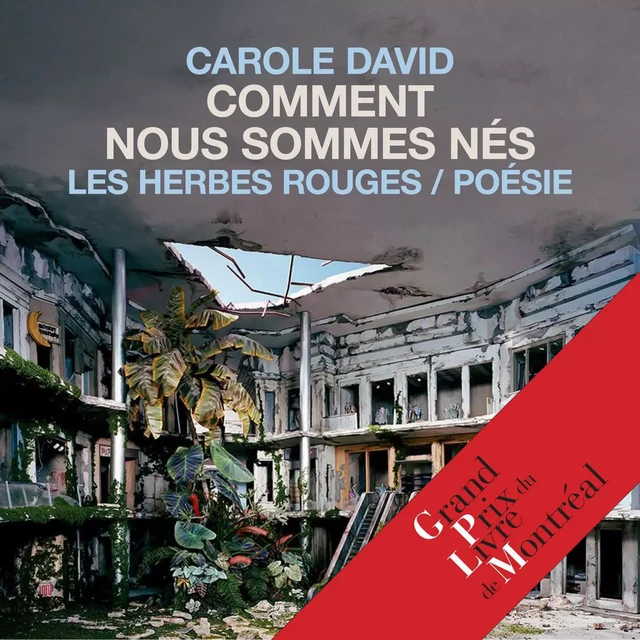 Comment nous sommes nés - Carole David - Kampus Média