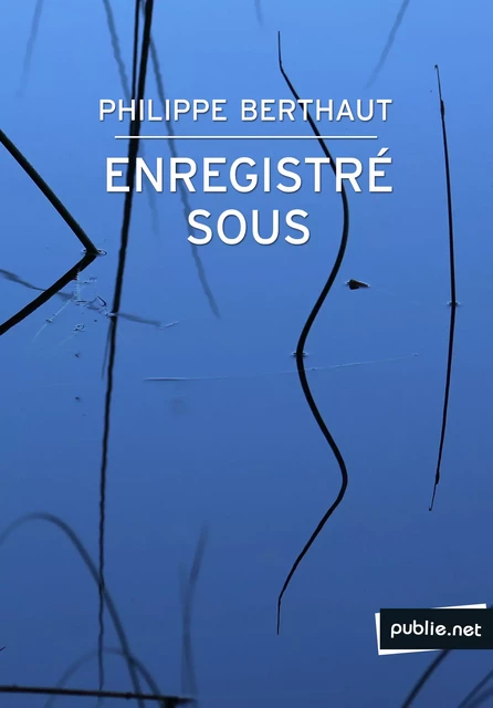 Enregistré sous... - Philippe Berthaut - publie.net