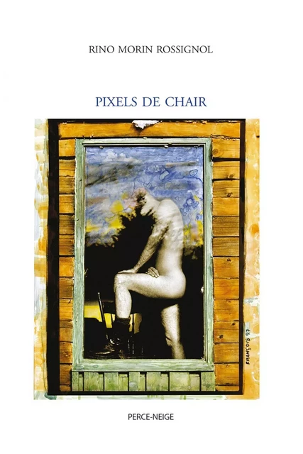 Pixels de chair - Rino Morin Rossignol - Éditions Perce-Neige