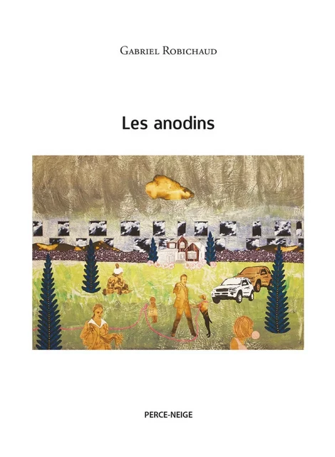 Les anodins - Gabriel Robichaud - Éditions Perce-Neige