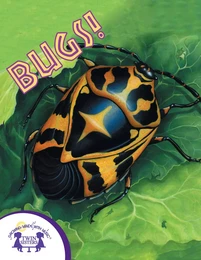 Know-It-Alls! Bugs