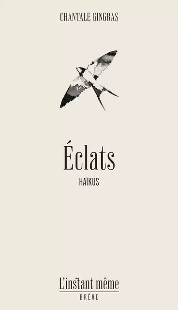 Éclats - Chantale Gingras - Éditions de L'instant même