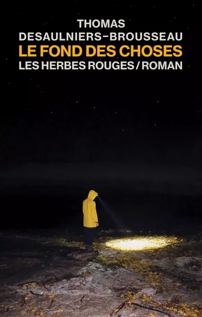 Le fond des choses - Thomas Desaulniers-Brousseau - Les Herbes Rouges