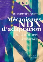 Mécanismes NDN d'adaptation