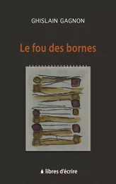 Le fou des bornes