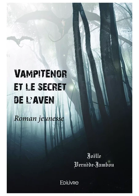 Vampiténor et le secret de l'aven - Joëlle Vernède-Jambou - Editions Edilivre