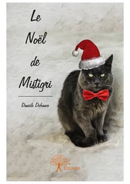 Le Noël de Mistigri