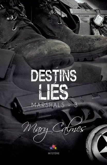 Destins Liés - Mary Calmes - MxM Bookmark