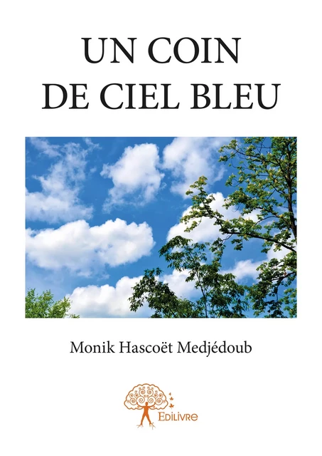 Un coin de ciel bleu - Monik Hascoët Medjédoub - Editions Edilivre