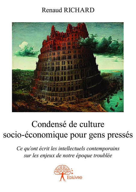 Condensé de culture socio-économique pour gens pressés - Renaud Richard - Editions Edilivre