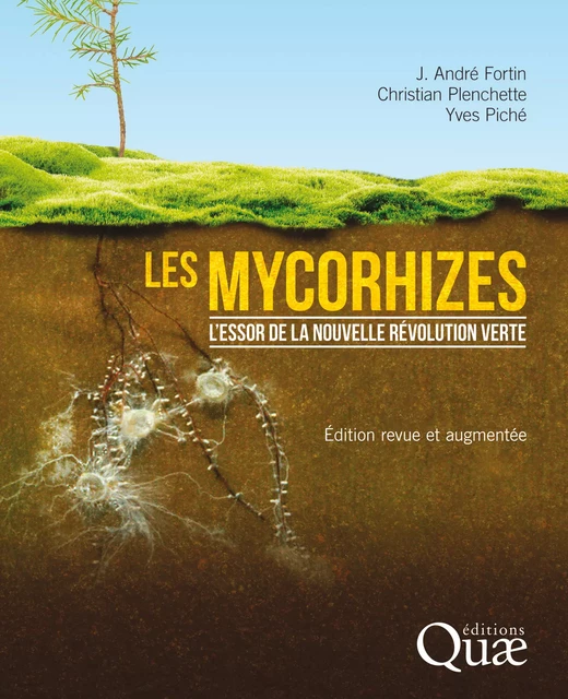 Les mycorhizes - Yves Piché, J. André Fortin, Christian Plenchette - Quae