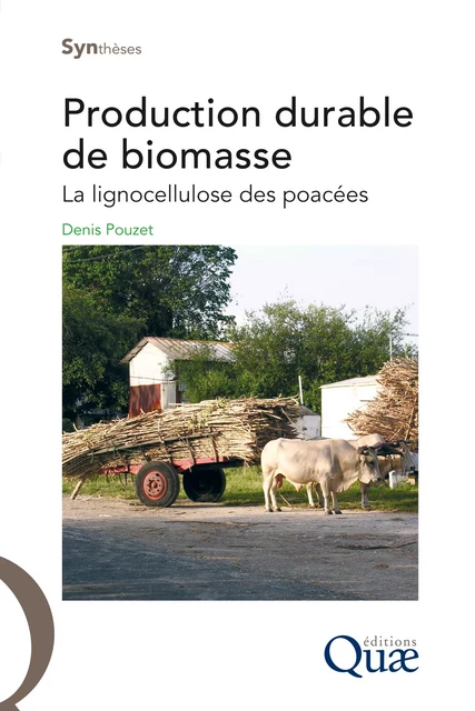 Production durable de biomasse - Denis Pouzet - Quae