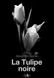 La Tulipe noire