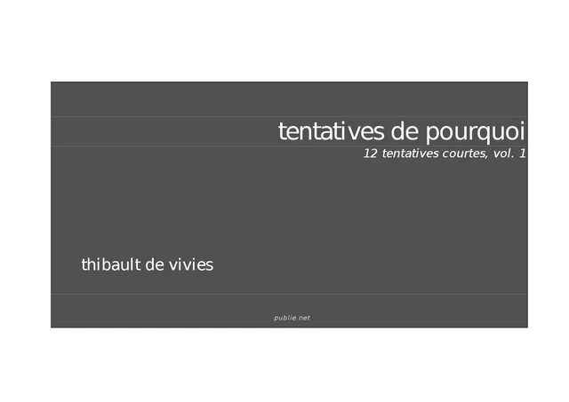 Tentatives de pourquoi, 12 tentatives courtes - Thibault de Vivies - publie.net