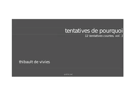 Tentatives de pourquoi, 12 tentatives courtes