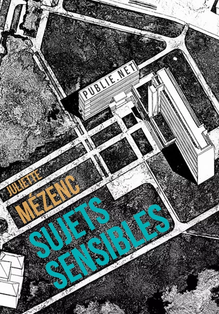 Sujets sensibles - Juliette Mézenc - publie.net