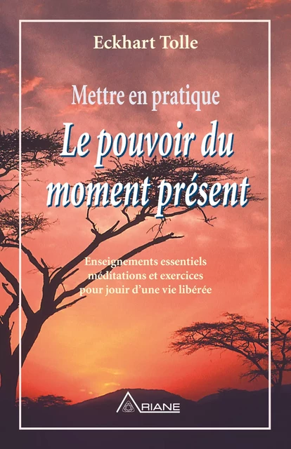 Mettre en pratique Le pouvoir du moment présent - Eckhart Tolle - Éditions Ariane