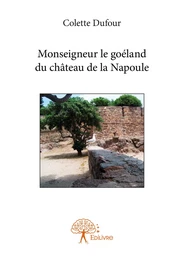 Monseigneur le goéland du château de la Napoule