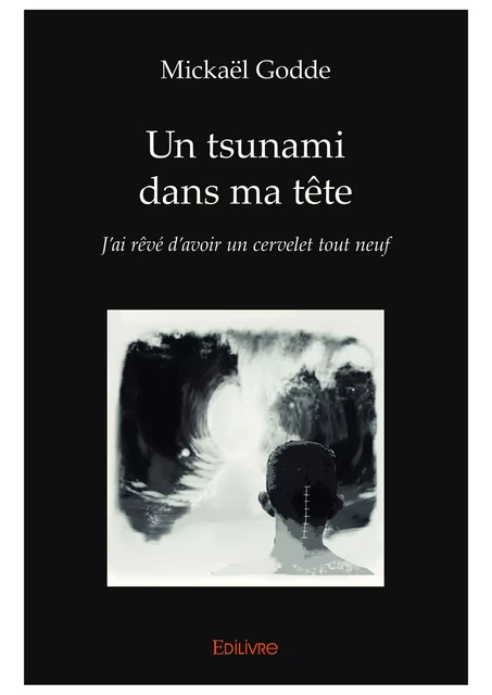 Un tsunami dans ma tête - Mickaël Godde - Editions Edilivre