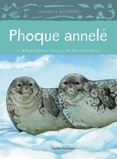 Phoque annelé - William Flaherty - Québec Amérique