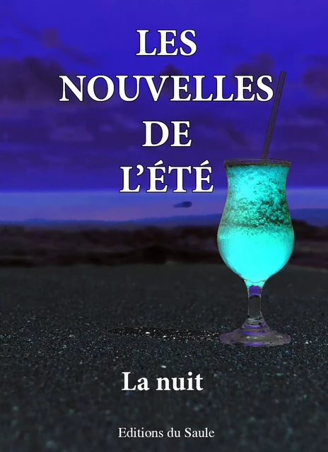 les nouvelles de l'été - La nuit - Gavriel Howard Feist, Claudine Couppe, Anne-Laure Guillaumat, Nathalie Vedrine, Aurélie Torre, Marie-Rachel Aparis, Michel Giraud, Sandrine Waronski, Danielle Kleden - Editions du Saule