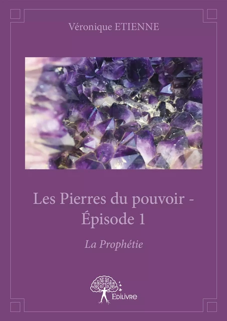 Les Pierres du pouvoir - Épisode 1 - Véronique Etienne - Editions Edilivre