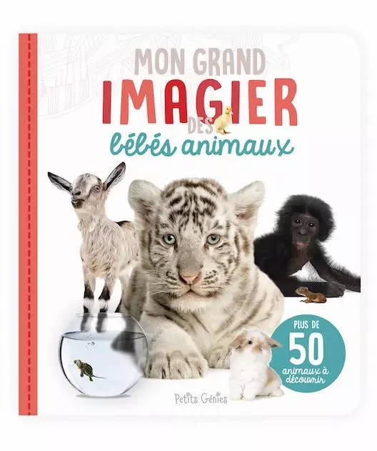 Mon grand imagier des bébés animaux - Claire Chabot - Petits Génies