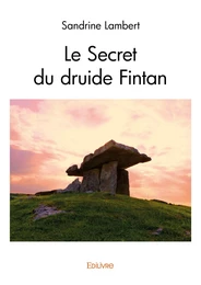 Le Secret du druide Fintan