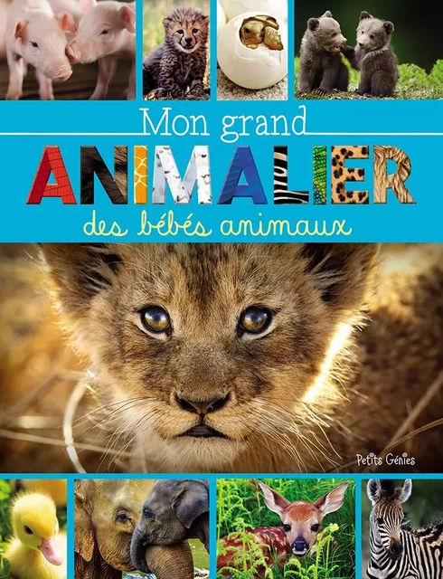 Mon grand animalier des bébés animaux - Marie-Ève Côté - Petits Génies