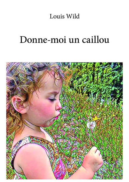 Donne-moi un caillou - Louis Wild - Editions Edilivre