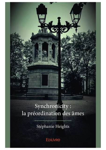 Synchronicity : la préordination des âmes - Stéphanie Heights - Editions Edilivre