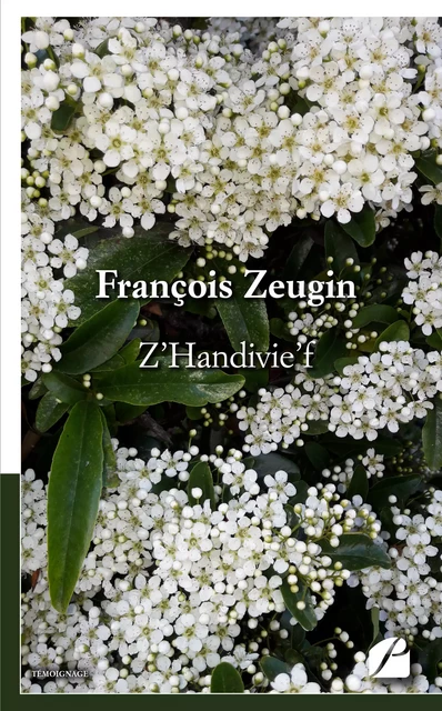 Z'Handivie'f - François Zeugin - Editions du Panthéon