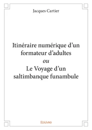 Itinéraire numérique d’un formateur d’adultes ou Le Voyage d'un saltimbanque funambule