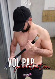 Vol par pénétration