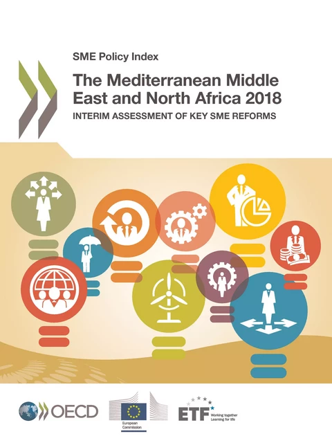 The Mediterranean Middle East and North Africa 2018 -  Collectif - OECD