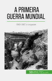 A Primeira Guerra Mundial (Volume 2)