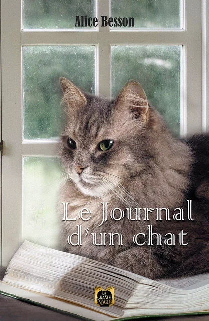 Le Journal d'un chat - Alice Besson - Les Éditions La Grande Vague