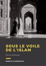 Sous le voile de l'Islam