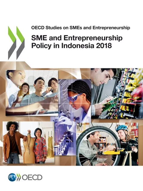 SME and Entrepreneurship Policy in Indonesia 2018 -  Collectif - OECD