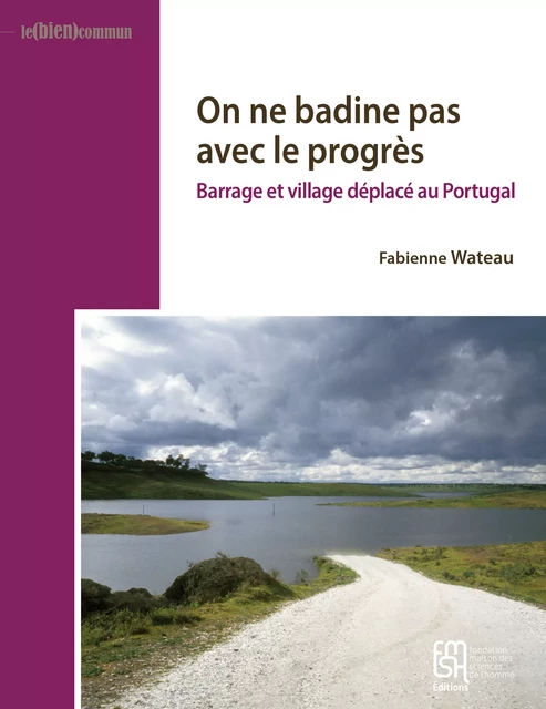 On ne badine pas avec le progrès - Fabienne Wateau - Éditions de la Maison des sciences de l’homme