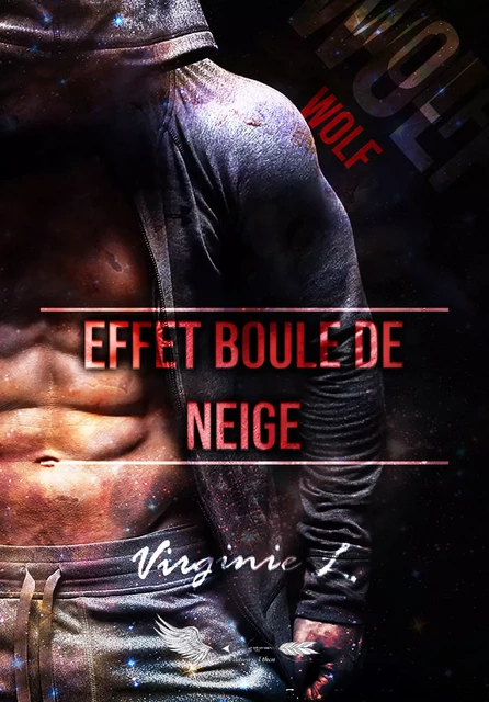 Effet boule de neige - Virginie Lopes - Editions Ethen