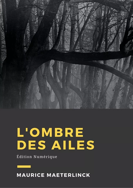 L'ombre des ailes - Maurice Maeterlinck - Librofilio