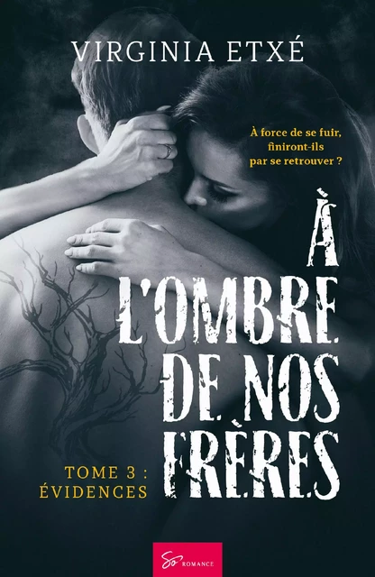 À l'ombre de nos frères - Tome 3 - Virginia Etxe - So Romance