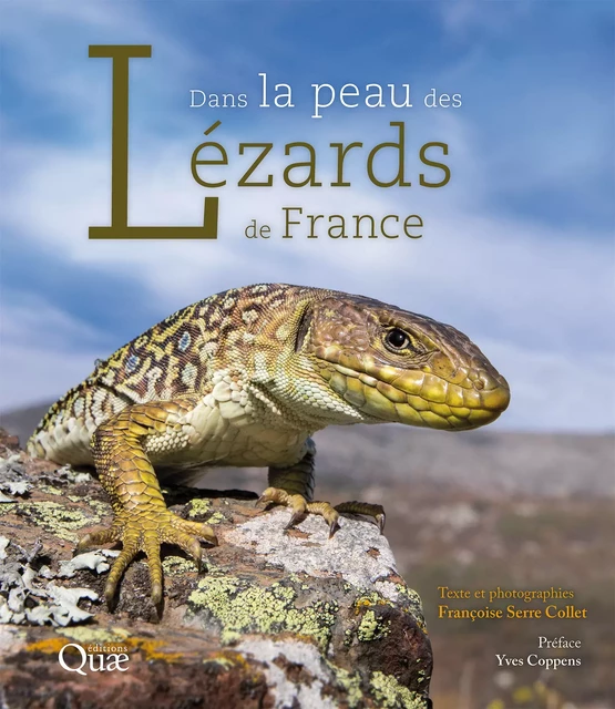 Dans la peau des lézards de France - Françoise Serre Collet - Quae