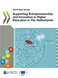 Supporting Entrepreneurship and Innovation in Higher Education in The Netherlands