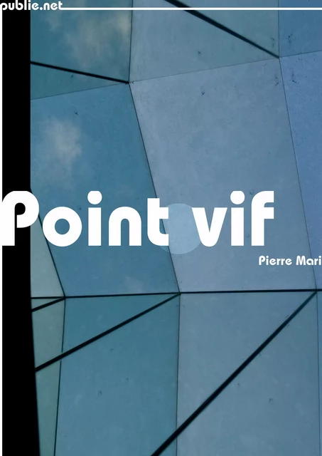 Point vif - Pierre Mari - publie.net