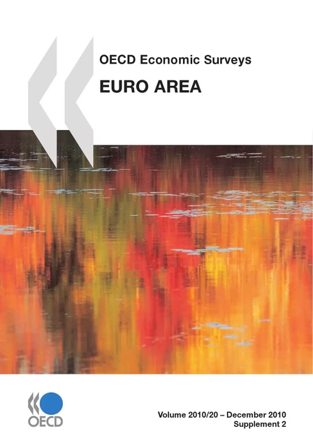 OECD Economic Surveys: Euro Area 2010 -  Collective - OECD