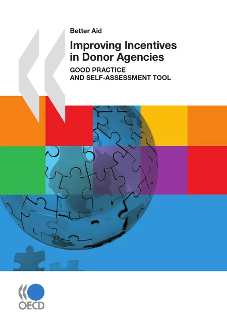 Improving Incentives in Donor Agencies (First Edition) -  Collective - OECD