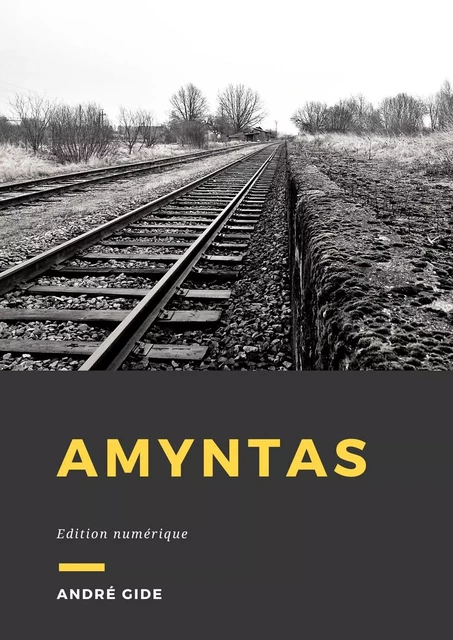 Amyntas - André Gide - Librofilio