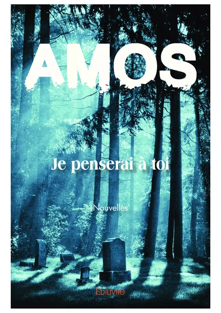 Je penserai à toi -  Amos - Editions Edilivre